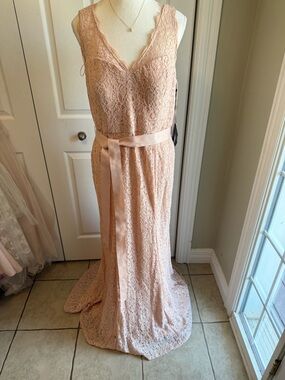 Adrianna Papell Blush Lace V-Neck Maxi Dress with Satin Waist Tie